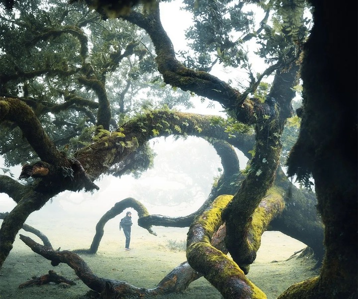 Gallery of Photography by Liam Man - UK
