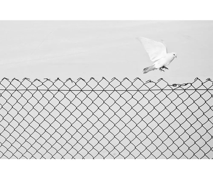 Gallery of Minimal Photography by Marcin Ryczek-Poland