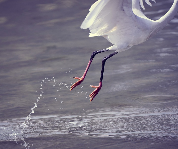 Gallery of photography by Hany Hossameldin - Egypt