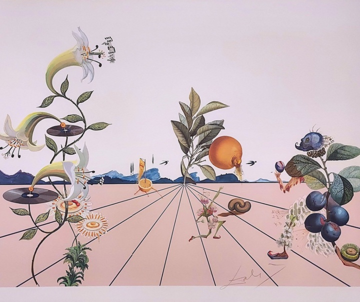 Gallery of Salvador Dali lithographs and metal engravings-Spain