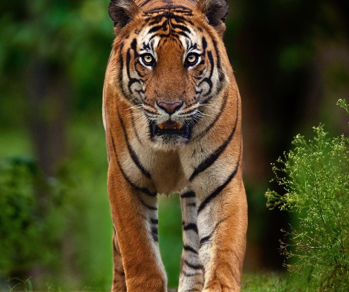 Gallery of Photography by Mithun Hunugund