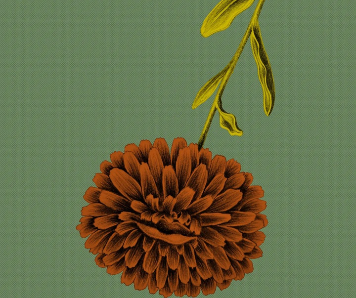 Gallery of Illustration by Sandra Marcela Restrepo - Colombia