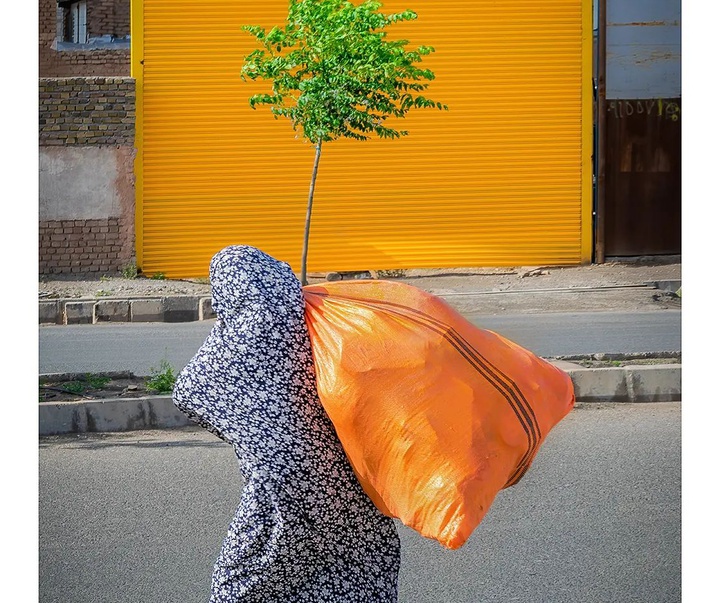 Gallery of photography by Seyed Ali Hoseinifar - Iran