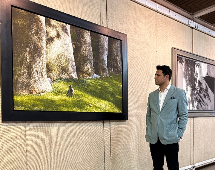 “Presence & Absence” at the Carpet Museum of Iran