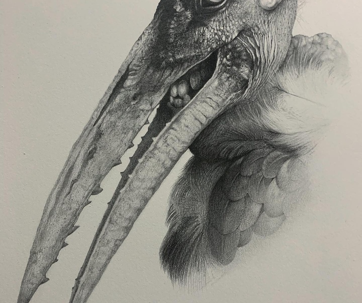 Gallery of Drawing by Juan Jose Martinez Canovas - Spain