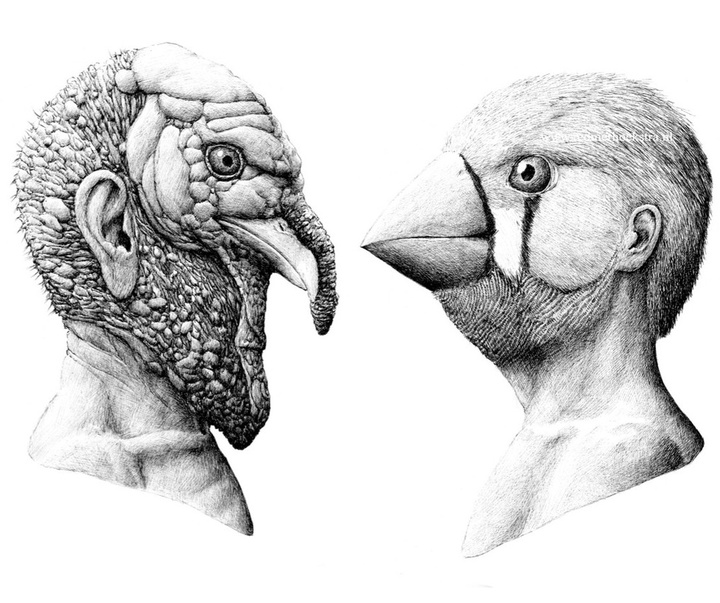 Gallery of Illustration by redmer hoekstra - Netherlands