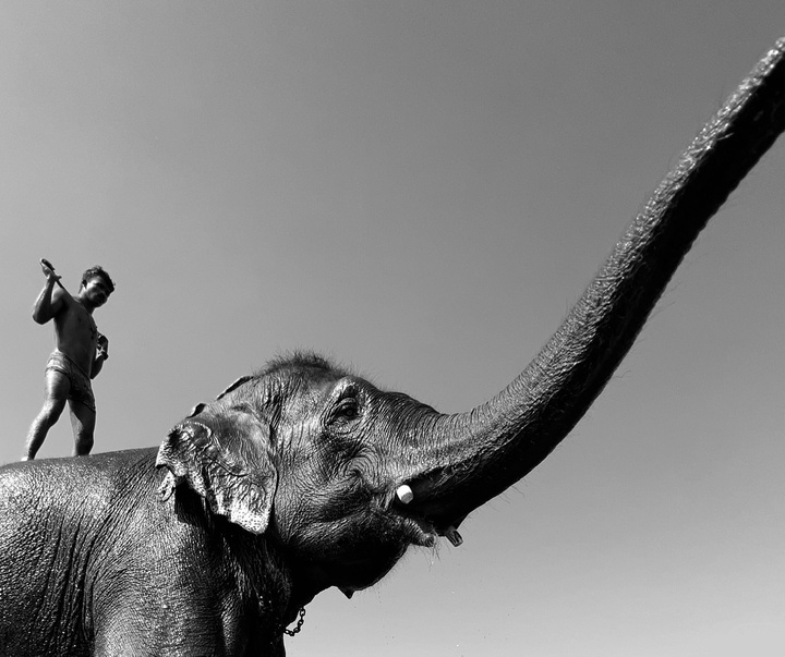 Gallery of Photography by Dimpy Bhalotia - India