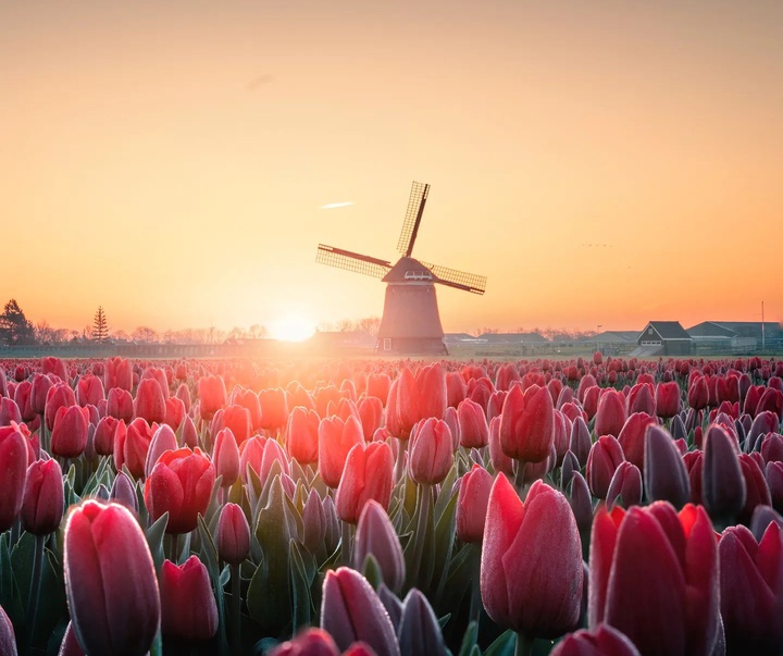 Gallery of Photography by Liam Man - UK