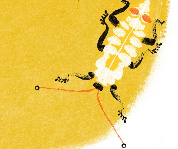 Gallery of Illustrations by amanda mijangos - Mexico