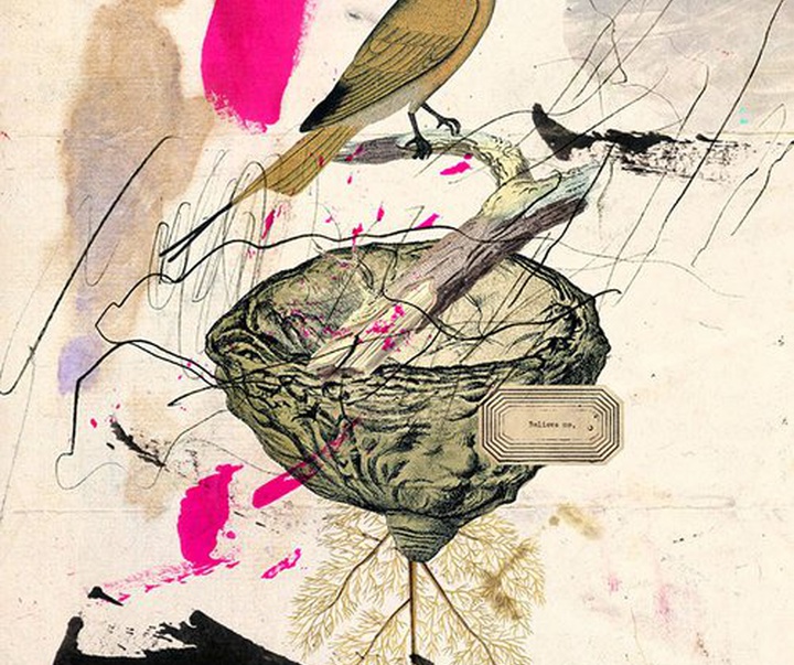 Gallery of Illustration by Eduardo Recife - Brazil