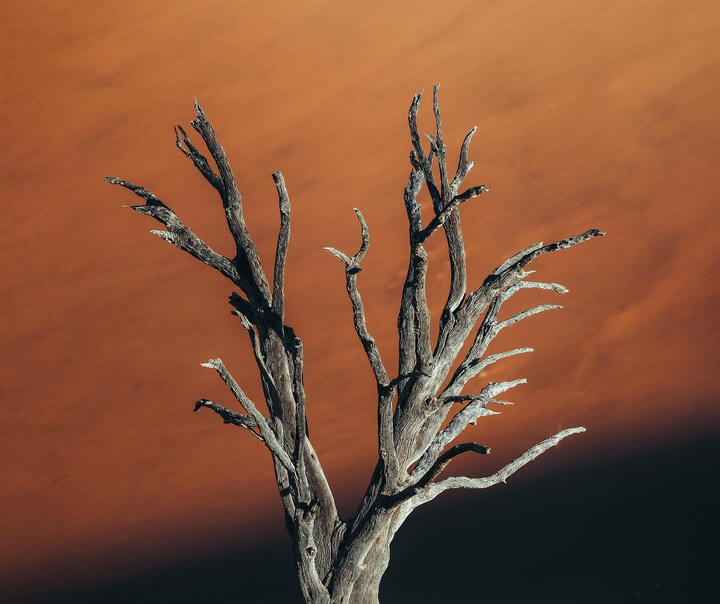 Luke Stackpoole