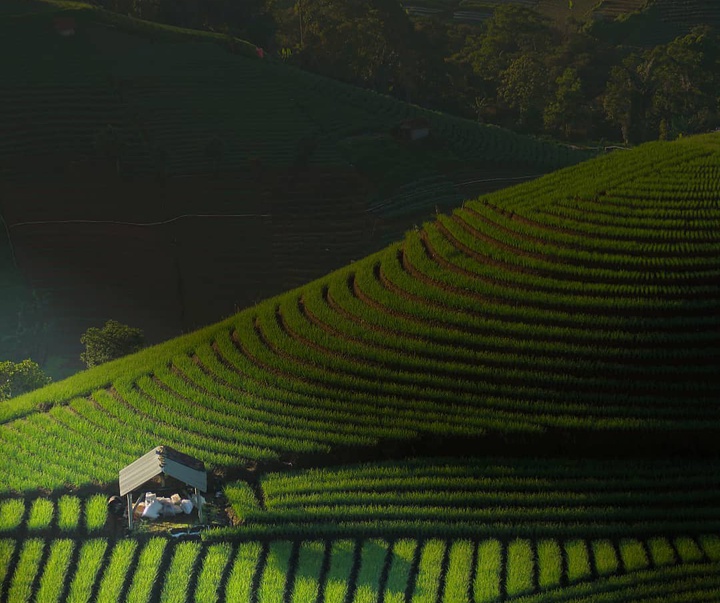 Gallery of Photos by Okka Supardan-Indonesia