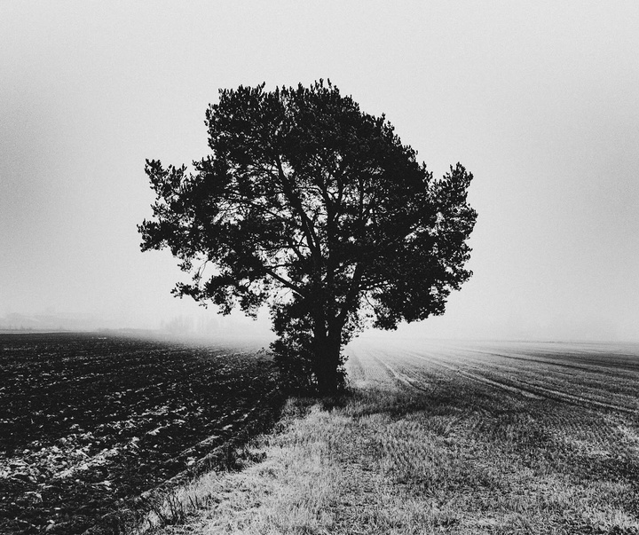 Gallery of Photography by Kalle Saarikko - Finland