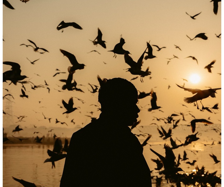 Gallery of Photography by Michelle Ospino - Colombia
