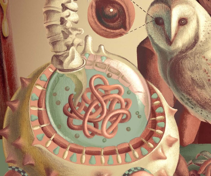 Gallery of Illustration by Ada Zejun Shen - USA