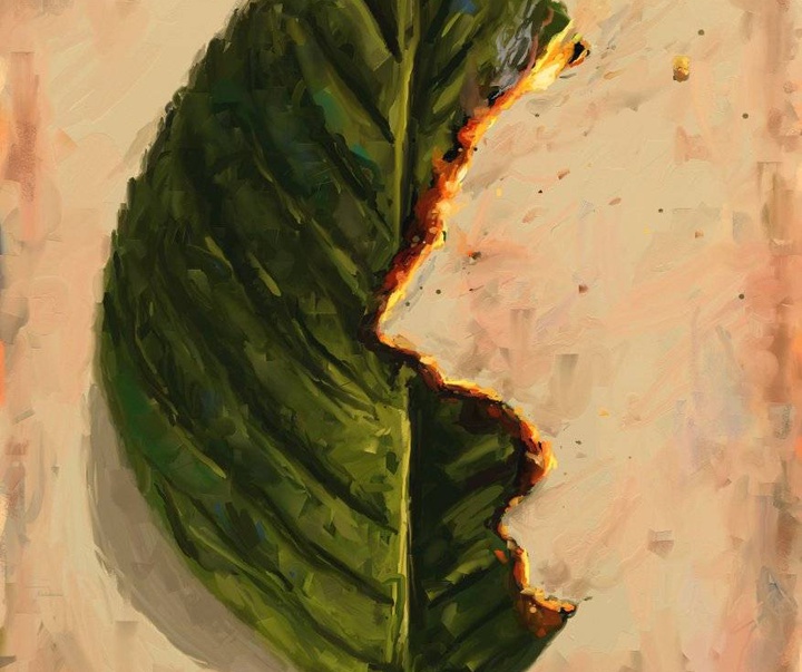 Gallery of Cartoon by Michel Moro Gomez-Cuba