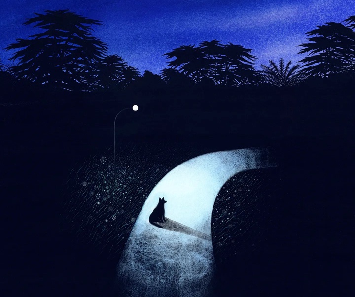 Gallery of Illustration by Jean Mallard - France