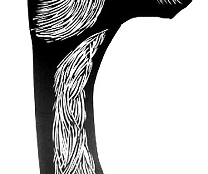 Gallery of illustration by Samuel Casal-Brazil