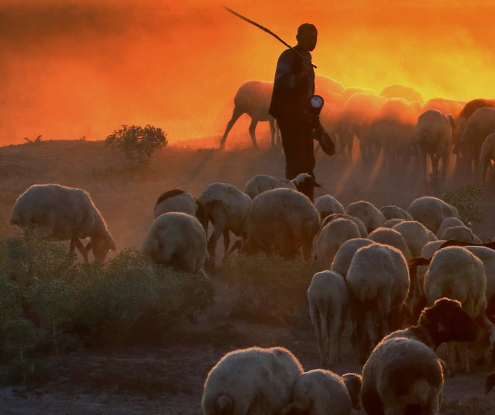 Gallery of photography by Mustafa Shahbaz - Turkey