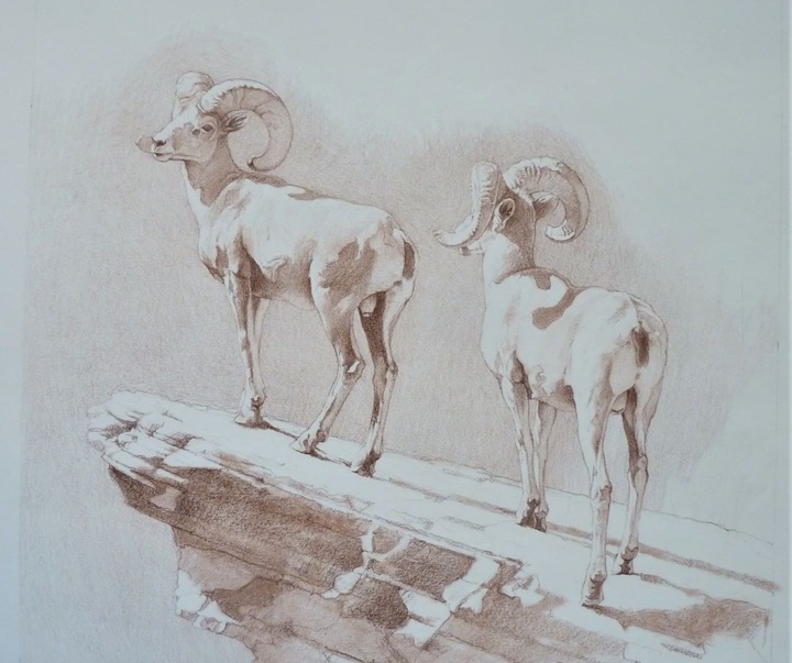 Gallery of Drawing by John Perry Baumlin- American