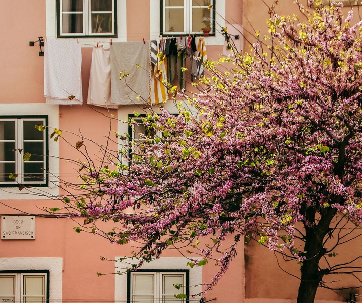 Gallery of photography by Rui Batista - Portugal