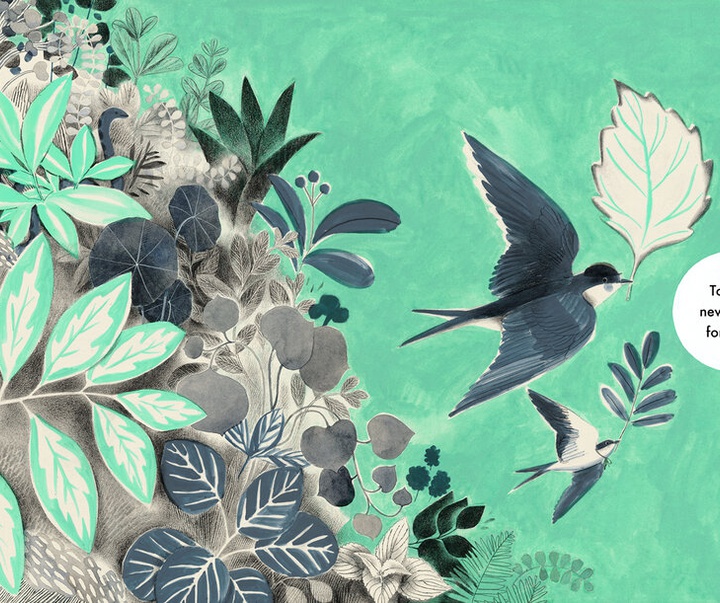 Gallery of Illustration by Isabelle Arsenault - Canada