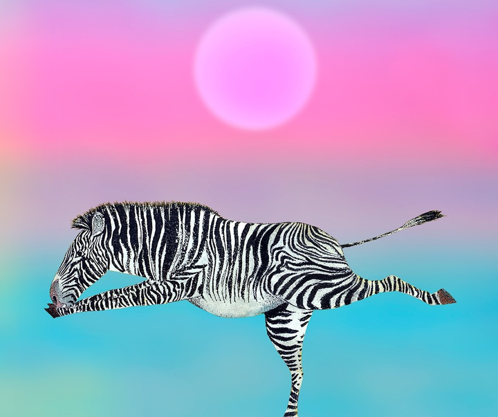 Gallery of Illustration by Brian Wildsmith - UK