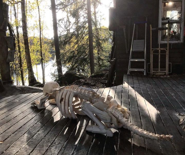 Gallery of Sculpture by Ilkka Virtanen - Finland