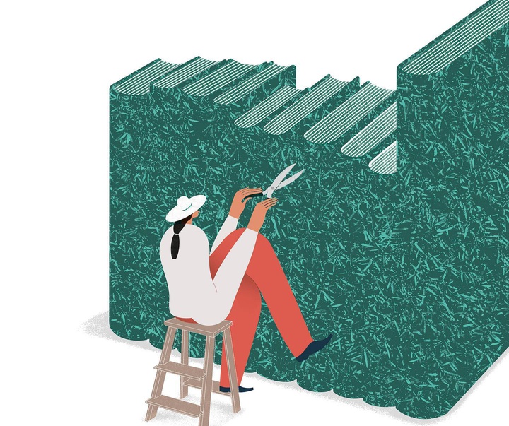 Gallery of illustration by Silvia Casanova Fenollosa-Spain