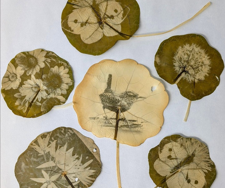 Gallery of Painting & Photography by Jane Constable - UK