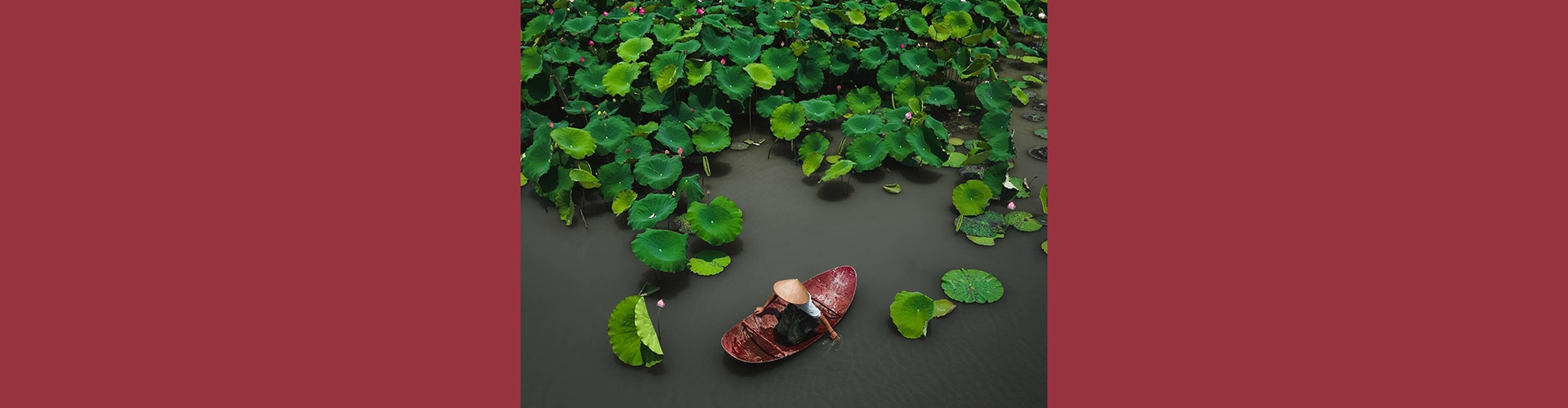 Gallery of Photography by Jord Hammond - UK