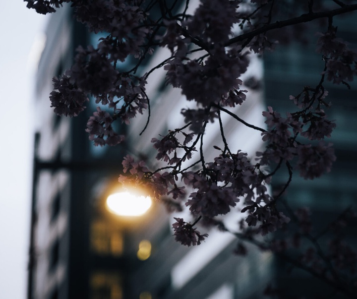 Gallery of Photography by Takashi Yasui - Japan