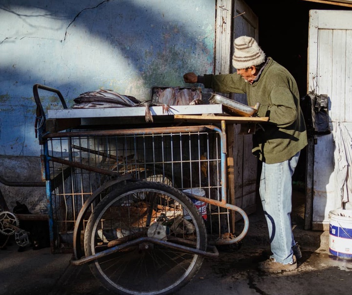 Gallery of Photography by El Santo - Mexico