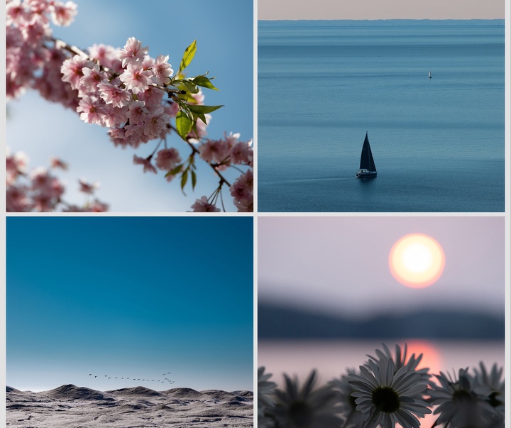 Gallery of Photography by Melanie Wills - Canada