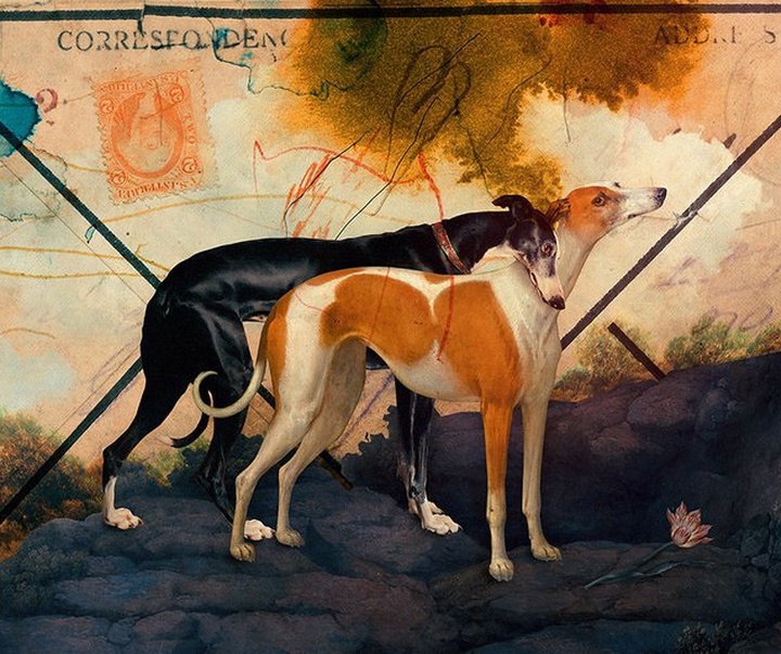 Gallery of Illustration by Eduardo Recife - Brazil