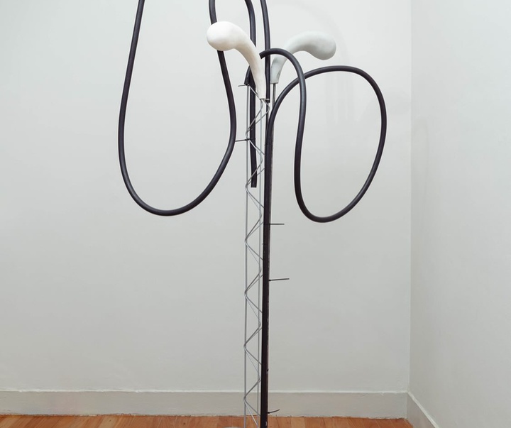 Gallery of Modern Art by Mayana Redin - Brazil