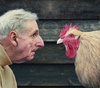 Gallery of Photography by david stewart