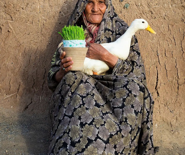 Gallery of photography by Seyed Ali Hoseinifar - Iran