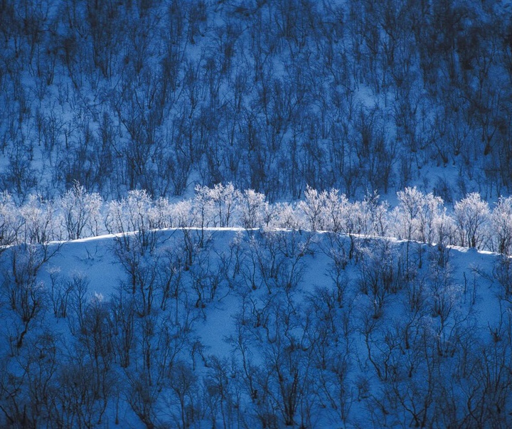 Gallery of Photography by Michael Yamashita - USA