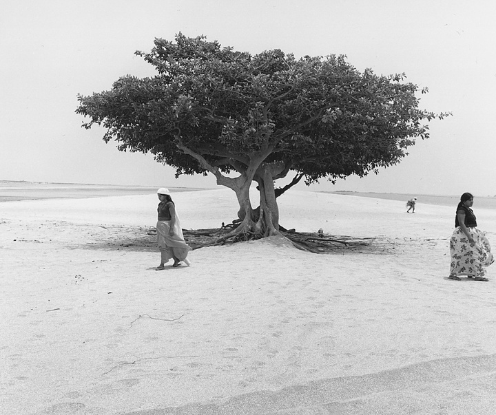 Gallery of Photography by Flor Garduño - Mexico
