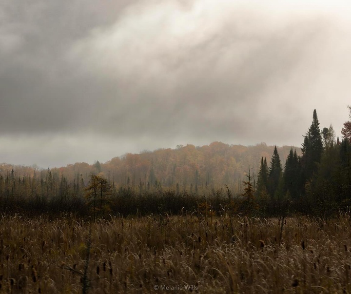 Gallery of Photography by Melanie Wills - Canada