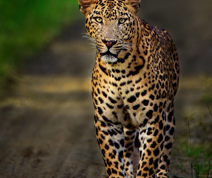 Gallery of Photography by Mithun Hunugund