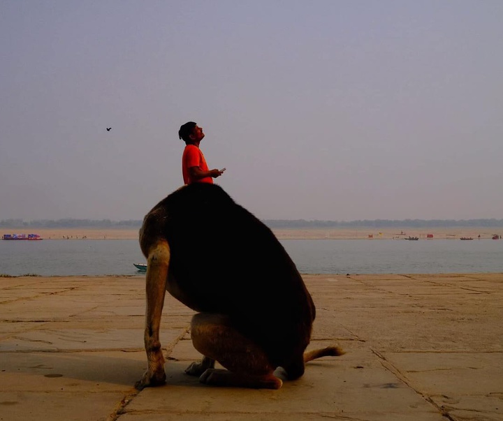 Gallery of Photography by Santanu Dey - India