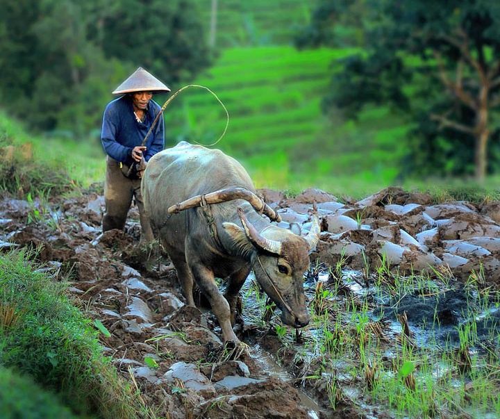 Gallery of Photos by Okka Supardan-Indonesia