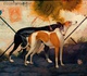 Gallery of Illustration by Eduardo Recife - Brazil