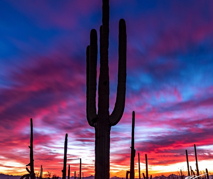 Gallery of photography by Beau Jesse Johnston-USA