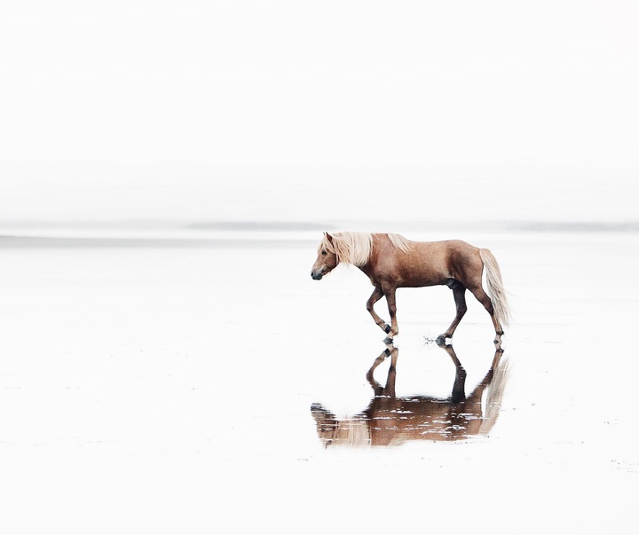 Gallery of Photography by Gigja Einars - Iceland