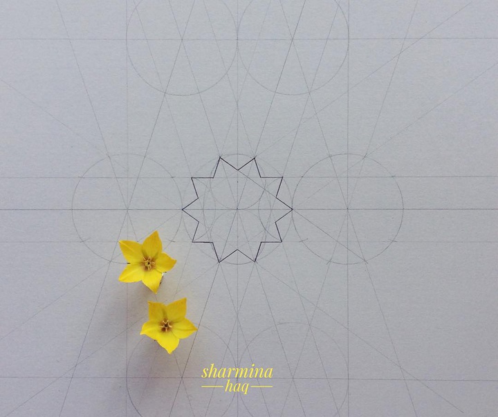 Gallery of Sharmina Haq Geometric Design From united kingdom