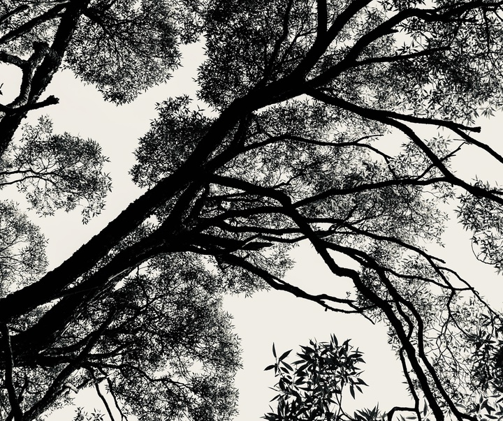 Gallery of Photography by Kalle Saarikko - Finland