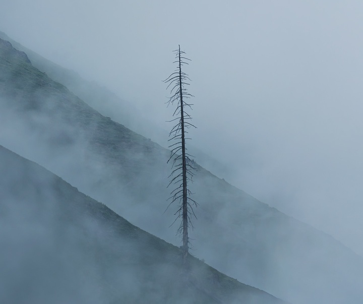 Gallery of Photography by Khumais Idrees - Pakistan